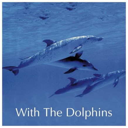 cd-with-the-dolphins-23220100_1677158263-f895bb932c35006ab573886f15c50c86.jpg