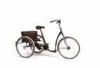 tricycle-adult-2219-retro-vintage-brown-with-basket_1587455685-5a25d99ff2317c717dc38d6f6da3dad8.jpg